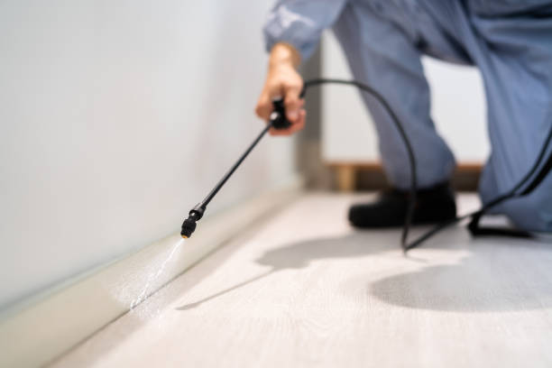 Rodent Entry Point Assessment in Owings Mills