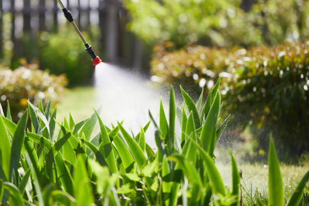 Tamper-Resistant Bait Stations for Rodents in Owings Mills