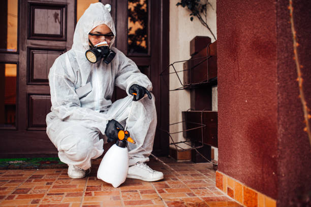 Attic and Crawl Space Rodent Treatment in Owings Mills