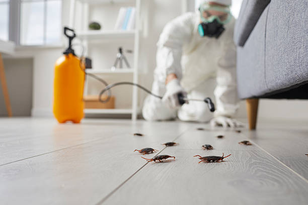 Commercial Rodent Management in Owings Mills